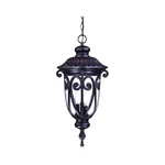 Acclaim Lighting 2126MM Naples Outdoor Pendant Chandeller Marbleized Mahogany. Fixed Price $300.00.
