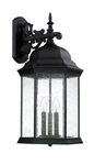 Capital Lighting 9838 Black Main Street 3-LIGHT Outdoor Wall Sconce. Fixed Price $272.00.
