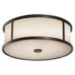 Spark & Spruce 23697-EOE Galena Light 14 Inch Espresso Outdoor Flush Mount. Fixed Price $279.00.