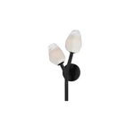 ET2 Lighting Blossom 2-LIGHT Wall Sconce, Black/clear/frosted E32792-93BK. Fixed Price $155.20.