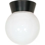 Nuvo Lighting 77/157 6"W Outdoor Semi-flush Globe Ceiling Black. Fixed Price $28.99.