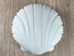 Frosted Glass Clam Sea Shell Shaped Fitter Globe, For Flush Mount Light Fixture. Fixed Price $79.00.