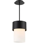 Wac Lighting Napa 12" Tall Cylinder Led Pendant. Fixed Price $89.99.