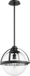 Quorum Transitional 15" Pendant Light In Noir. Fixed Price $474.00.