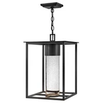 Hinkley Lighting Coen Outdoor Hanging, Black/clear Seedy 17022BK-LL. Fixed Price $373.15.