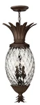 Hinkley Lighting H2222 Plantation 4 12.5"W Outdoor Full - Multicolor. Fixed Price $2149.00.