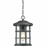 Quoizel One Light Outdoor Hanging Lantern CSE1910EK, Large, Earth Black. Fixed Price $214.02.