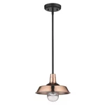 Copper One Light Pendant From The Burry Collection. Fixed Price $130.00.