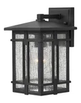 Hinkley Lighting 1960 Tucker 12" Lantern Wall Sconce - Black. Fixed Price $229.00.