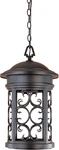 Ellington Outdoor Light Fixture, 19 Inch Exterior Hanging Lantern For Front. Fixed Price $163.43.