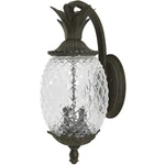 Acclaim Lighting 7502BC Lanai 18 Inch Black Coral Exterior Wall Mount. Fixed Price $152.00.