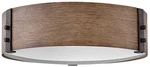 Hinkley Sawyer 15" Wide Sequoia Led Outdoor Ceiling Light. Fixed Price $429.00.