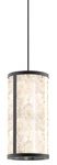 The Great Outdoors 8186-L Salt Creek 13"W Led Pendant Coal. Fixed Price $1959.20.