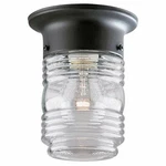 1 Light Matte Black Steel Flush Mount Lantern Ceiling Fixture. Fixed Price $37.08.