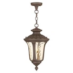 Used Livex Lighting 7654-58 Oxford 1 Outdoor Pendant Lantern. Fixed Price $186.97.