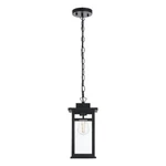 Elegant Lighting Mercer 7" Outdoor Pendant Black. Fixed Price $108.00.