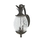 Acclaim 7512BC Lanai Collection 3-LIGHT Wall Mount Outdoor Fixture, Bla.... Fixed Price $246.19.