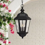 Hinkley Edgewater Black 18 1/2" High Hanging Light. Fixed Price $429.00.