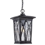 Quoizel GVR1910 Black Grover 1-LIGHT Outdoor Pendant. Fixed Price $450.99.