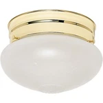 Nuvo Light 6" Flush Mount, Frosted Grape Mushroom, Polished Brass SF77-123. Fixed Price $29.99.