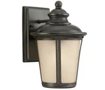 Sea Gull Lighting Single Wall Lantern Burled Iron 88240-780 New. Fixed Price $63.00.