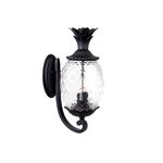 Acclaim Lighting 7511 3 21.75"H Pineapple Outdoor Wall - Black. Fixed Price $192.00.