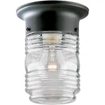 Westinghouse Lighting 6691900 One-light Jelly Jar Porch-light, Matte Black. Fixed Price $19.95.