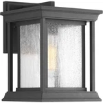Progress Lighting P5605 Endicott 10-1/2"H Outdoor Wall Black. Fixed Price $114.99.