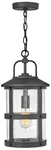Hinkley Lakehouse 17 3/4" High Black Outdoor Hanging Light. Fixed Price $389.00.