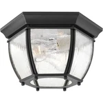 Progress Lighting P6019 Roman Coach 11" Two Incandescent - Black. Fixed Price $119.99.