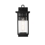 Elegant Lighting Cambria Outdoor Sconce, Black/clear - OD320W14BK. Fixed Price $108.00.