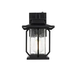 Elegant Lighting Salem Outdoor Sconce, Black/clear - OD304W12BK. Fixed Price $120.00.