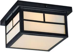 Coldwater 2-LIGHT Outdoor Flush Mount Fixture Black Finish. Fixed Price $212.99.