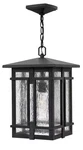 Museum Black Led Hanging Lantern From The Tucker Collection. Fixed Price $479.00.