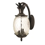 Acclaim 7502BK Lanai Collection 2-LIGHT Wall Mount Outdoor Fixture, Mat.... Fixed Price $271.39.