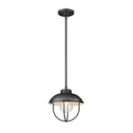 Z-lite Ansel 1 Light Outdoor Pendant In Black/black 590P-BK. Fixed Price $139.40.