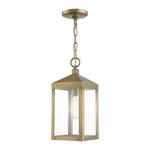 Livex Nyack Light Outdoor Pendant Lantern, Antique Brass/clear 20591-01. Fixed Price $299.96.