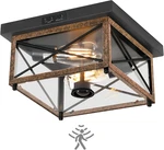Motion Sensor Outdoor Ceiling Light, Rustic 2-LIGHT Flush Mount Fixture. Fixed Price $99.99.
