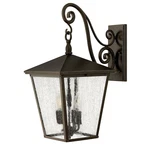 Hinkley Lighting Trellis Outdoor Lg Wall Mount, Regency Bronze - 1435RB. Fixed Price $699.00.