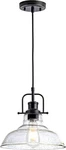Black Clear Seeded Glass Shade 11IN Pendant Light Fixture (1PC). Fixed Price $52.97.