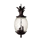Used Acclaim Lighting 7516BC Lanai - Three Outdoor Hanging Lantern 10. Fixed Price $195.50.