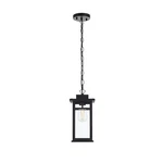 Elegant Lighting Mercer Outdoor Pendant, Black - OD313H14BK. Fixed Price $108.00.