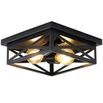 Black Rustic Metal Flush Mount Ceiling Fixture, 2-LIGHT Industrial Farm.... Fixed Price $43.35.