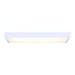 Canarm Madison 5.4" Utility Light, White LW24A20-MS. Fixed Price $69.99.