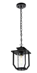 Outdoor Chandelier Pendant Light Fixture Seedy Glass Exterior Porch Walkway Lamp. Fixed Price $132.80.