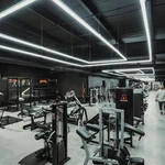 Led Garage Lights Fixture: High Brightness 39000LM Lighting Ceiling. Fixed Price $231.86.