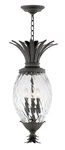 Hinkley Lighting 2122 Black Plantation 4-LIGHT 13"W Outdoor Pendant. Fixed Price $1099.00.