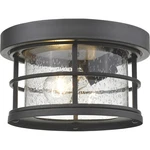 Z-lite 555F-BK Exterior Additions Light 10 Inch Black Outdoor Flush Mount. Fixed Price $130.00.