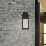 Quoizel WVR8406 Westover 17" Tall Outdoor Wall Sconce - Bronze. Fixed Price $124.99.