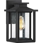 Nos Quoizel Wakefield Earth Black & Seedy Glass Outdoor Wall Lantern Light 11". Fixed Price $74.00.